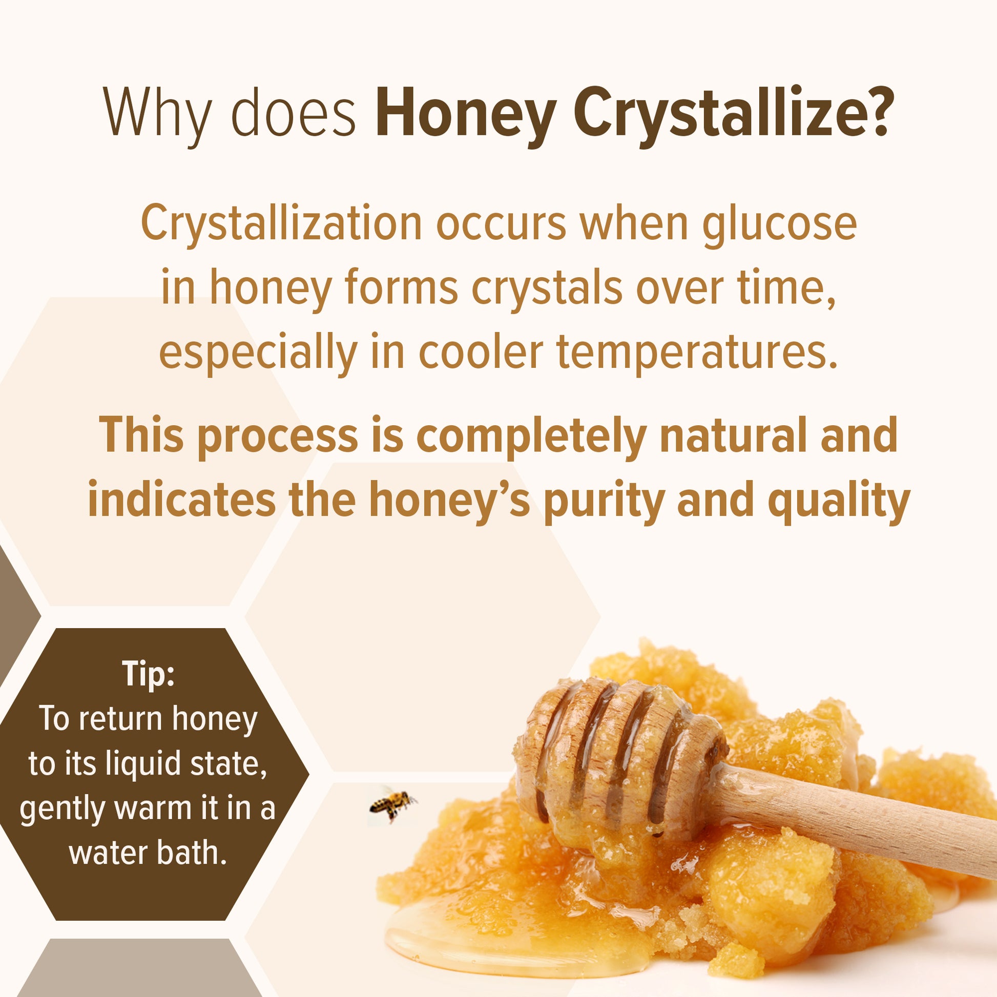 Himalayan Multiflora Honey - Conscious Food Pvt Ltd