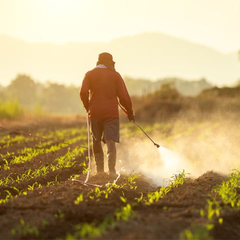Disadvantages of Pesticides - Conscious Food